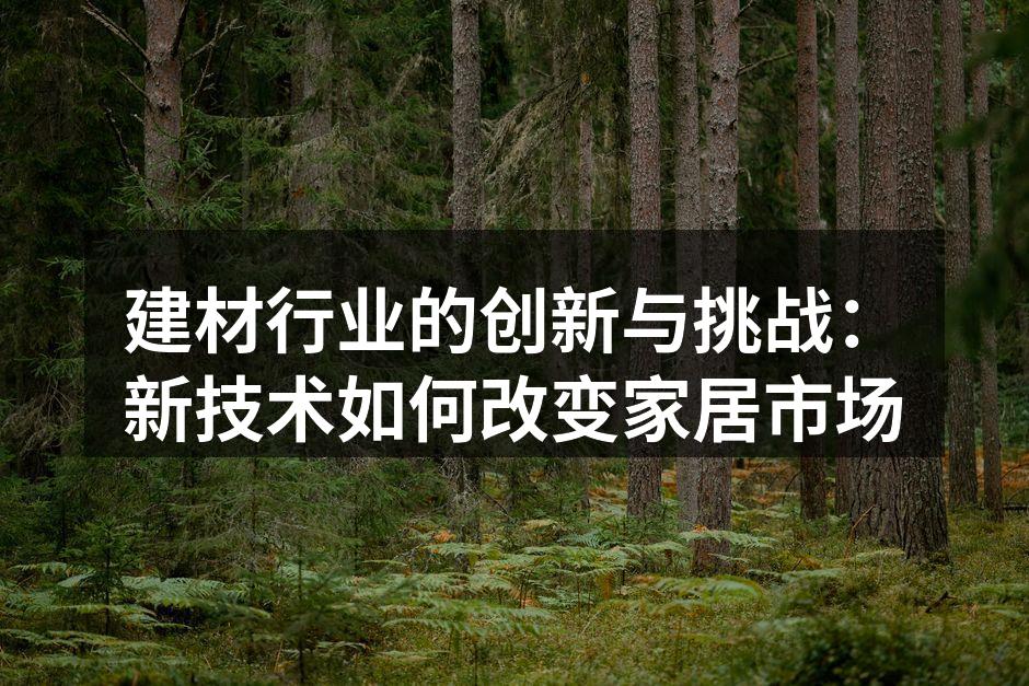 建材行业的创新与挑战：新技术如何改变家居市场