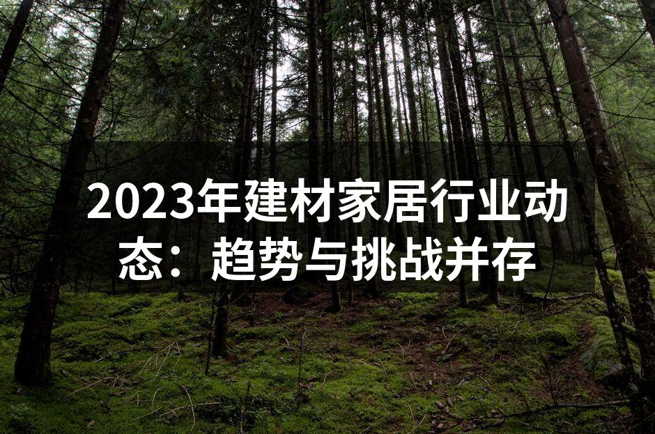 2023年建材家居行业动态：趋势与挑战并存