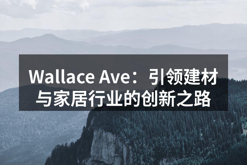 Wallace Ave：引领建材与家居行业的创新之路